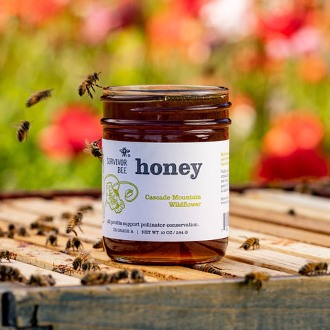 Survivor Bee - Cascade Mountain Wildflower Honey